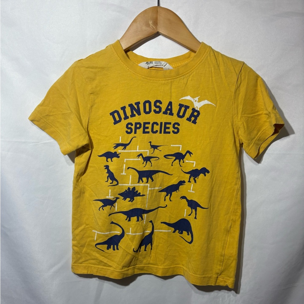 Six 4Y Boys Dinosaur Short Sleeve Shirt, Boys Tees, Dino T-shirt, Girls Shirts - Picture 4 of 7